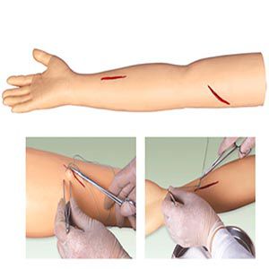 Senior Surgical Arm Suture Training Model